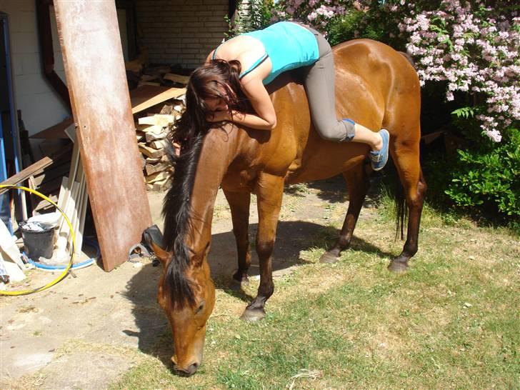 Anden særlig race Bruno, savner dig :'( <3 - Savner dig så ufattelig meget, det her var en af de bedste tider med dig :´( billede 8