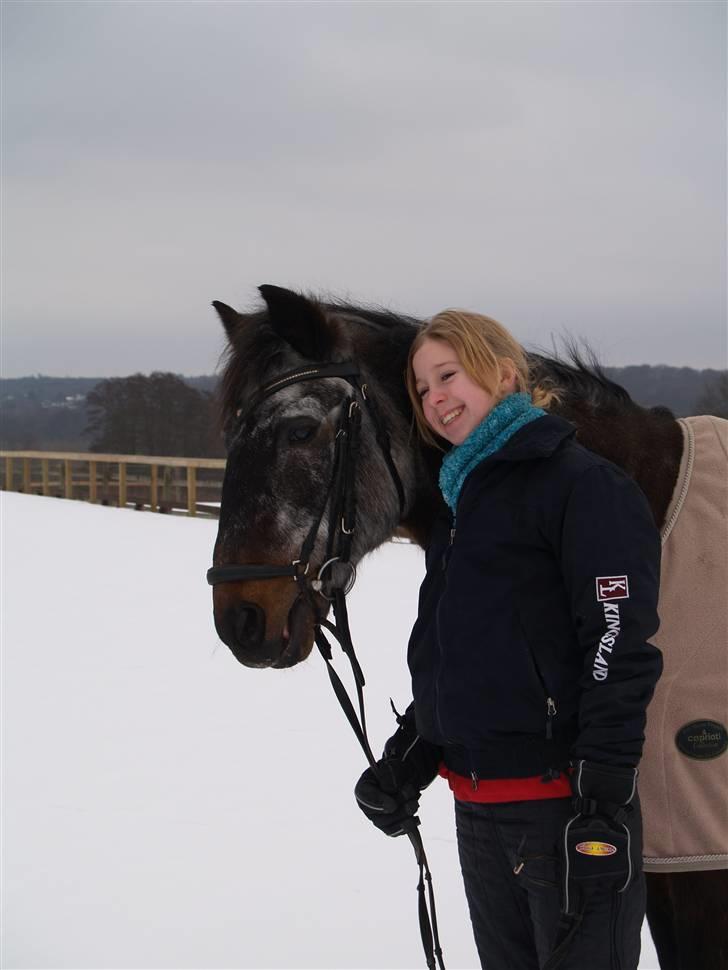 Anden særlig race Freddie Fræk R.I.P. min pony! <3  - Mig og freddie som foto modeller i sneen;P  billede 7