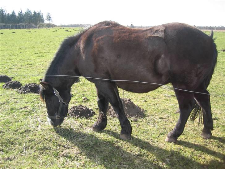 Islænder Marco - mad er bare sagen! [ilu Marco <´3] billede 2