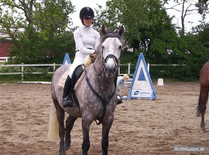 Anden særlig race Kilimanjaro - Den tykke hest til præmie overrækkelse fik en 4. plads med Hawar. billede 8