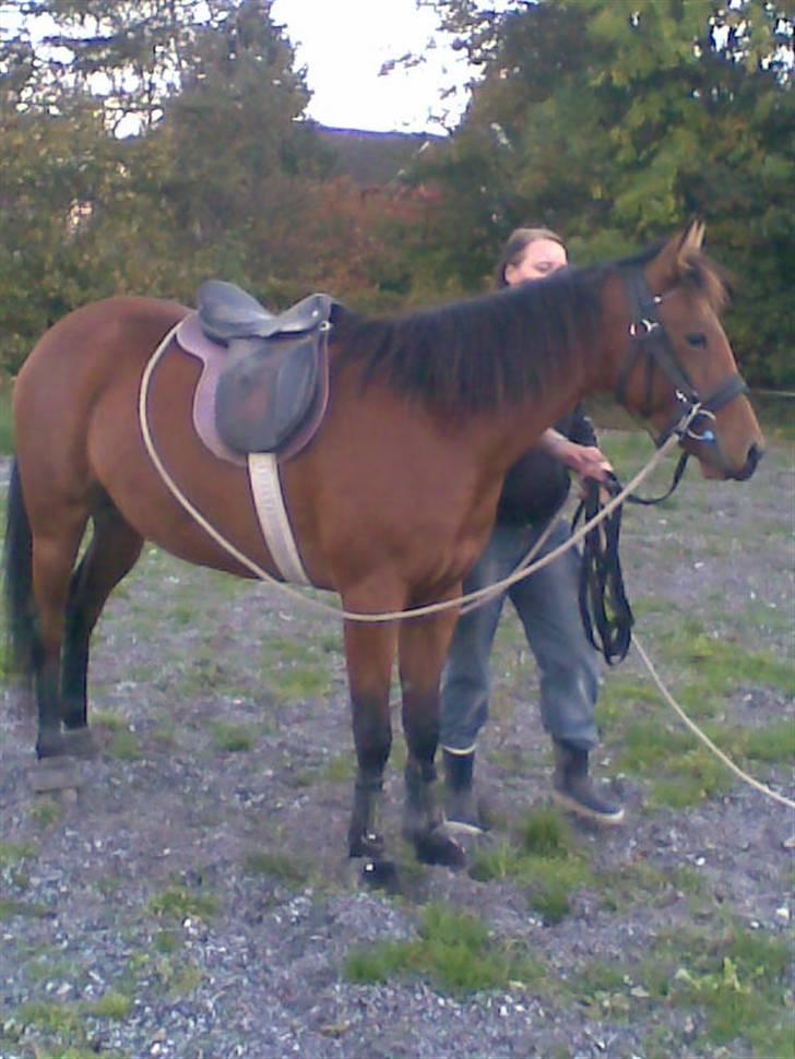 Traver Liselotte Astrup billede 2