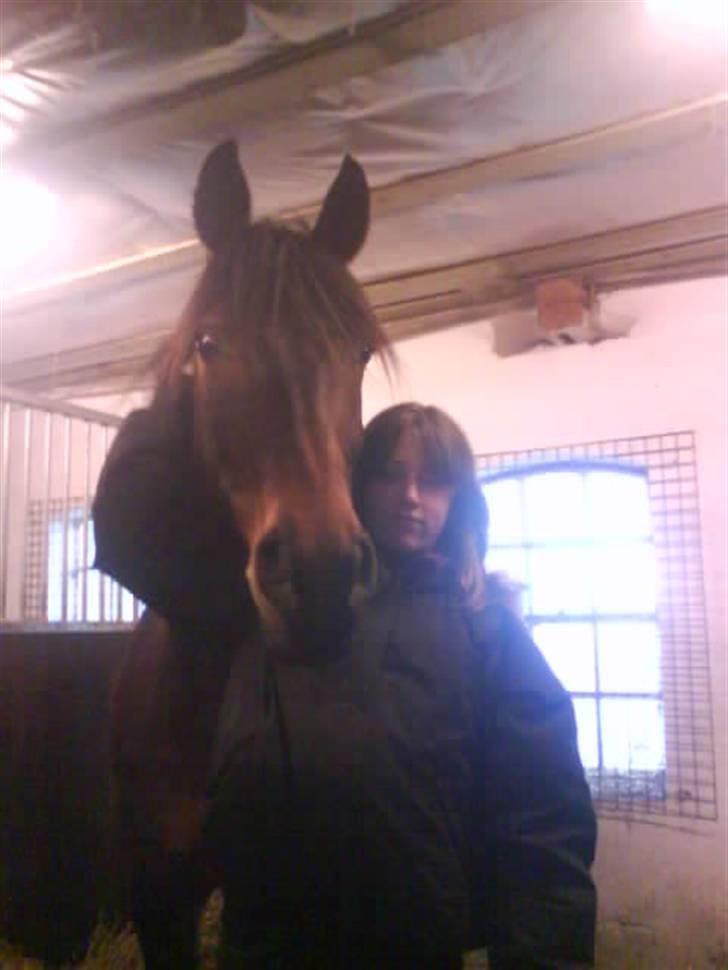 Anglo Araber (AA) | SGR´s Zarah (Savnet) - her jeg og min bedste veninde nette billede 14