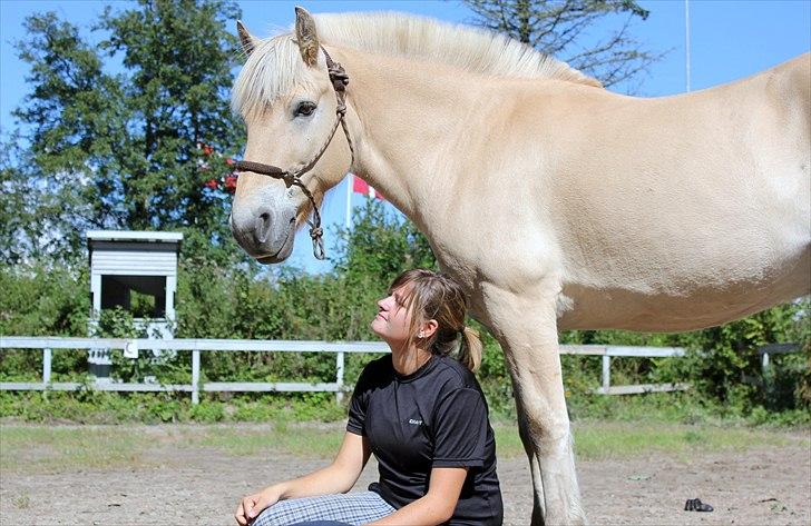 Fjordhest Pepsi Pony | Savnet - Du er alt for mig.. Min aller bedste ven..   Fotograf: Melissa billede 16