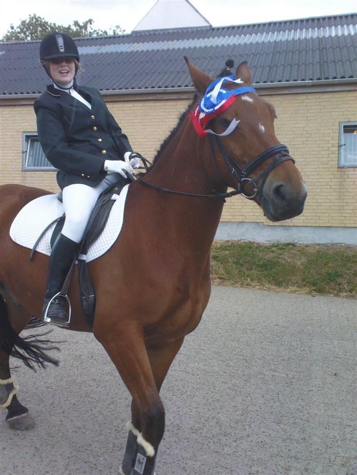 Anden særlig race Lucky Casmir (Bamse) - Wee såå godt stævne, (se alle i mit fotoalbum) :D billede 16