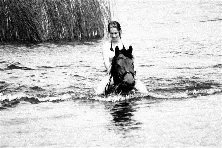 Anden særlig race Victoria billede 3