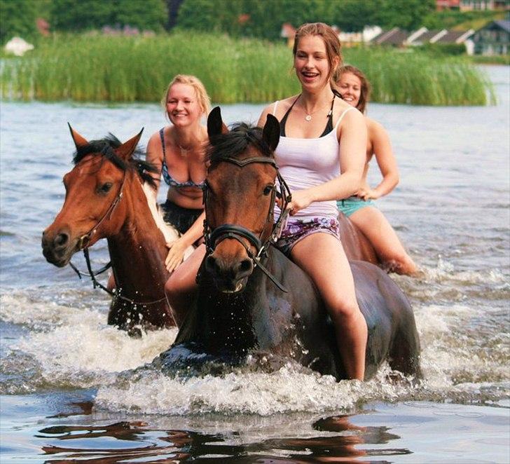 Anden særlig race Victoria billede 4