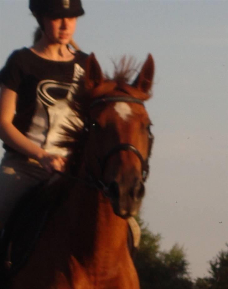 Anden særlig race Freja<33 - Du er så dejlig min hest :o)  Love you!!!!!! :] billede 11