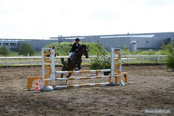 Hollandsk Sportspony Clio  - Springning<3., Billedet er ret gammelt hun springer meget højere nu:D billede 16