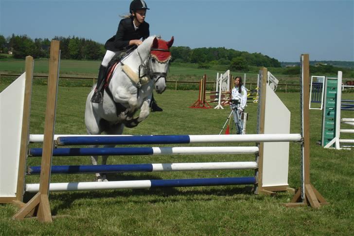 Tysk Sportspony Jonatan {AFLIVET} - ¤19¤  c-stævne i Langå rideklub. hvor han sød<3 foto: mor(: billede 19