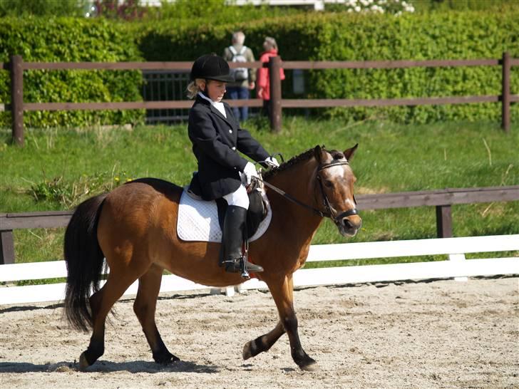 Anden særlig race Dipsi *på pansion* - så drejer vi :) billede 9