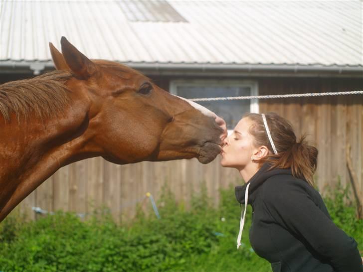Anden særlig race BALTHAZAR - Jeg elsker min hest <3. Billede ; Malene billede 2