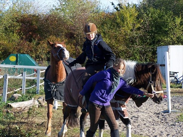 Anden særlig race Tamara † -Guardian Angel- - elsker det her billede, der sker nemlig en masse xD nyd det xD foto: Emma<33 billede 11