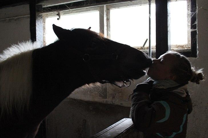 Anden særlig race Tamara † -Guardian Angel- - Et af de sidste billeder af hende :´( Hun havde lige lært at kysse ved blot at læne hovedet tilbage. den 28 okt 2010<´´´3 billede 16