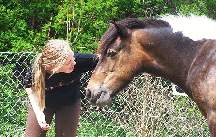 Anden særlig race Tamara † -Guardian Angel- - Den Lille Hollænder :´) <´33 Love is like playing piano, firsdt you must learn to play by the rules, then you forget the rules and play from your heart<3 billede 18