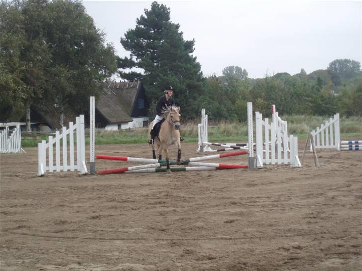 Fjordhest Maegårds Lotti *part* - Her er det til den 40 cm "Kyllinge Hop" spring konkurrence.. det var den første konkurrence Lotti nogensinde havde været med til.. Nu springer vi højere :D haha billede 10