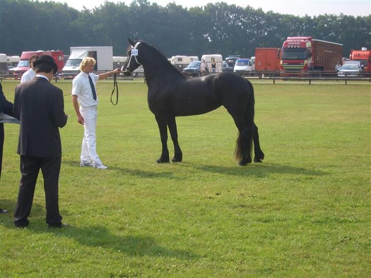 Frieser Gaia Hvalløs billede 8