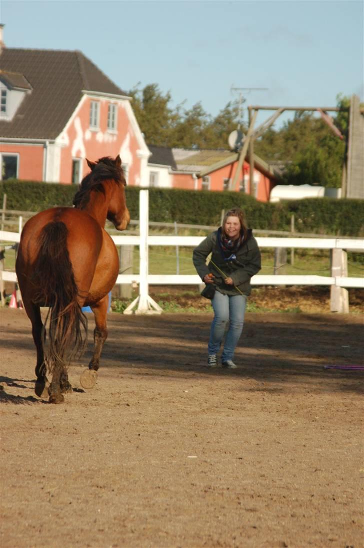 Anden særlig race Sakia <3 my pride - Kia kommer når man kalder dygtig vovse Foto: Signe Bendsen billede 9