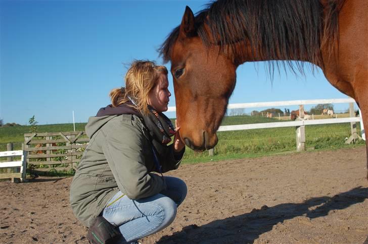 Anden særlig race Sakia <3 my pride - elsker det billed Foto: Signe Bendsen billede 12
