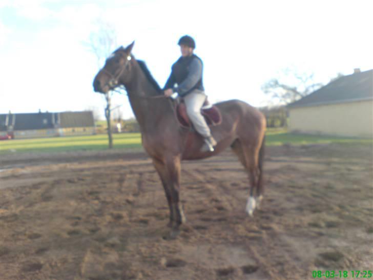 Anden særlig race Milton - Milton er meget opmærksom og kigger på det hele i starten =o) billede 18