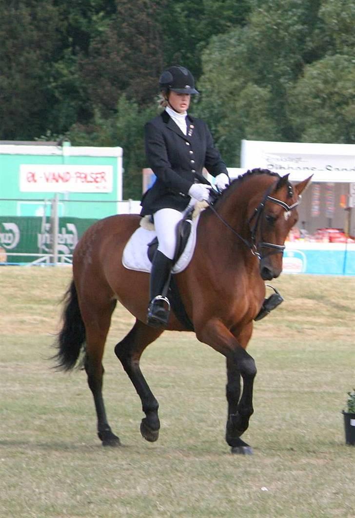 Holstener Cindy RDS (Aflivet) - Mig og min smukke mus rider brugsklassen på det fynske dyreskue. billede 8