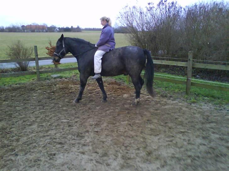 Oldenborg Møllevangs Rex (Rexe) billede 20