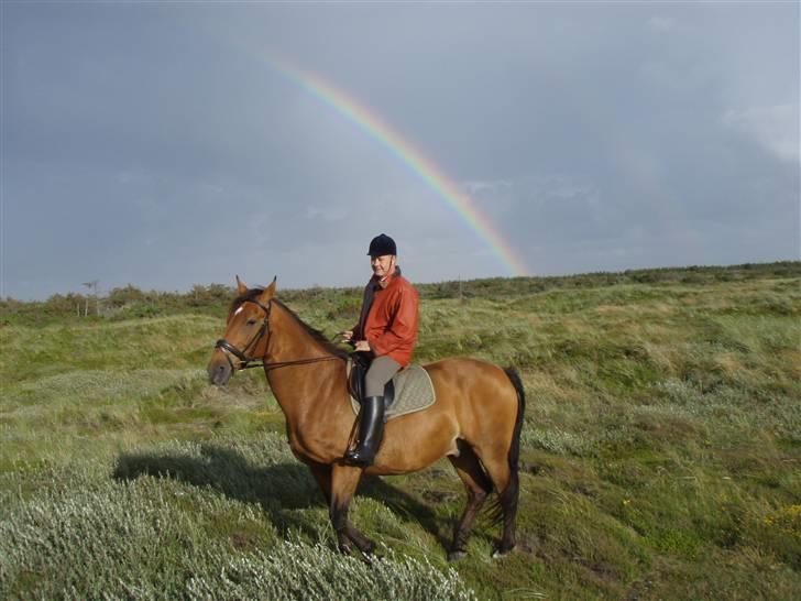 Oldenborg Cheval - Far og Valle, under regnbuen! <´33 billede 13