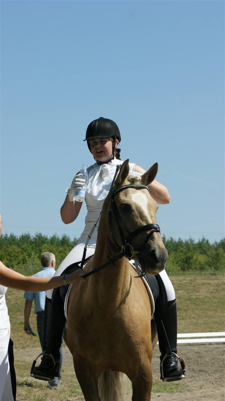 Anden særlig race Natalina*Blondie* - Super dejlig galop<3 Der er samling i den pony billede 13