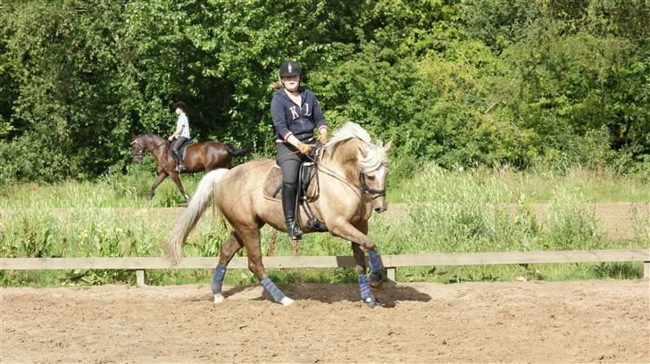 Anden særlig race Natalina*Blondie* - Galop:) billede 19