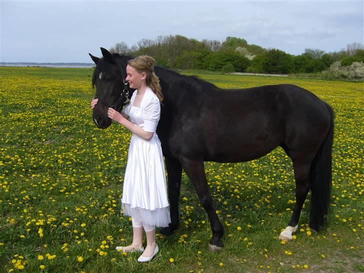 Anden særlig race (monique ) Madonna " baby'en" <3 - Den pony betyder virkelig alt! den dag jeg fik hende! prinsesse JegElskerDigForEvigt! dont leave me!  billede 3