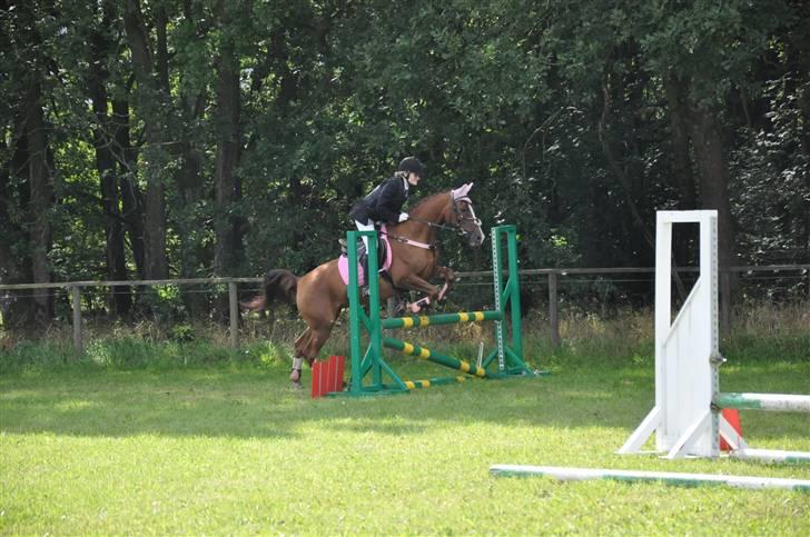 Hollandsk Sportspony Morsø Banks Kashmira SOLGT - RIRI første LC Foto: MIE billede 7