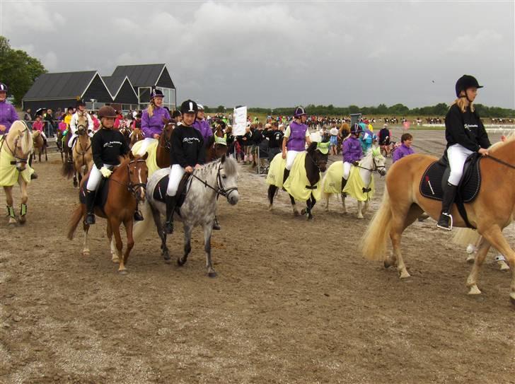 Anden særlig race : • Felix • - Til DM i ponygames. Felix skridter sammen med sin gode ven Sunshine :)   2oo7 Fordi vi nåede det punkt vi ikke havde drømt om <3 billede 4