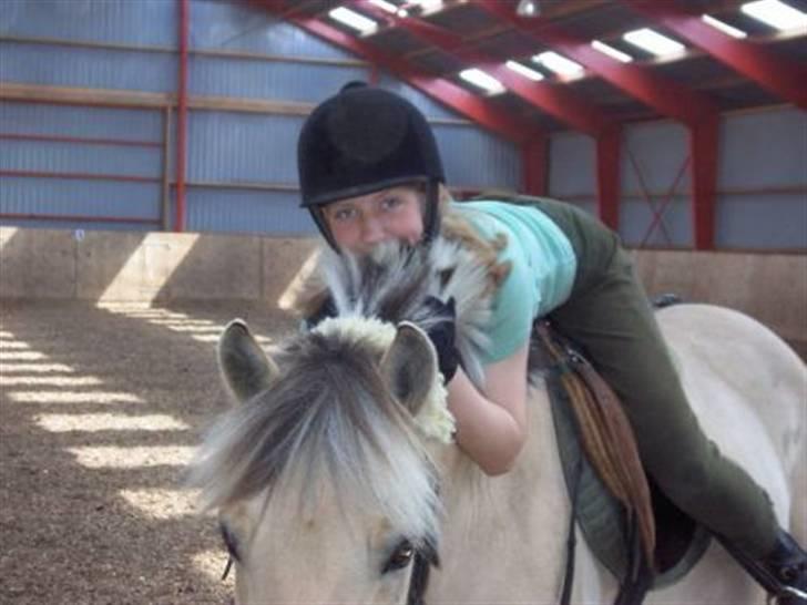 Fjordhest Falica  - Det aller første billede der blev taget af mig og Tøsen (´: Miss her so :´( Falica var virkelig en Perle! billede 14