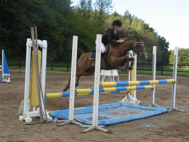 Hollandsk Sportspony Zorro <3 (solgt) - sara og zorro NSR distrikt mesterskaberne for hold, de blev nr 3 <3 (: (foto:mig) billede 19