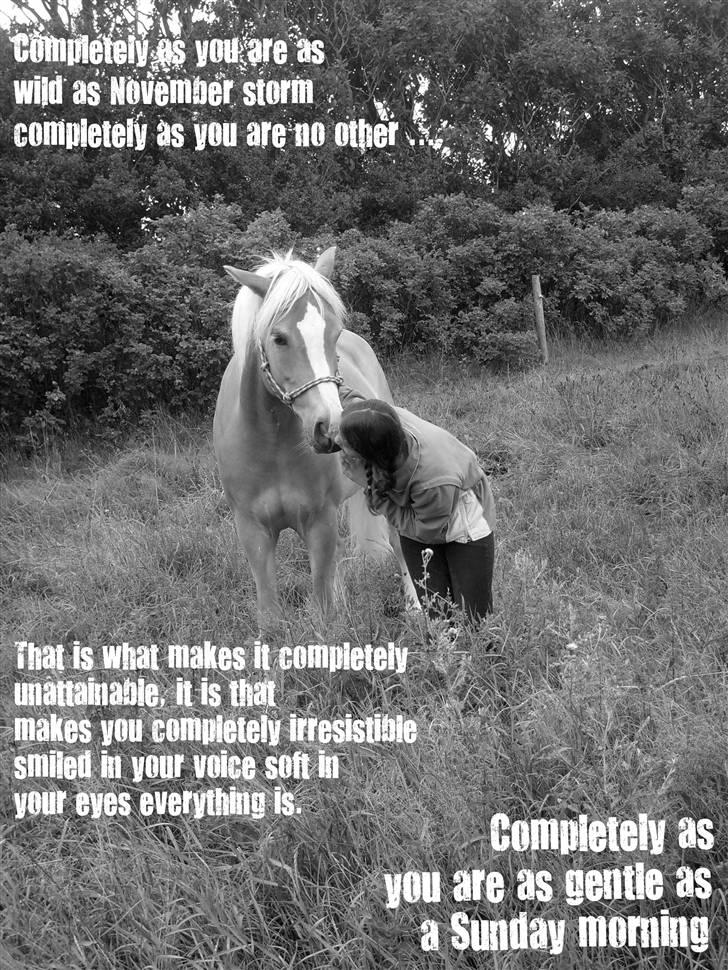 Haflinger               Alena - i love you. billede 13
