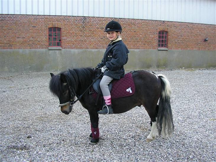 {{currentPhoto.altText}} billede {{currentPhoto.number}}