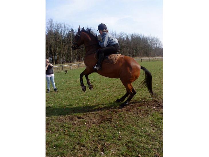 {{currentPhoto.altText}} billede {{currentPhoto.number}}