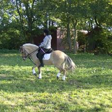 Anden særlig race Perle