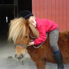 Shetlænder Maskot<3