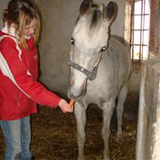 DSP Mickey Mouse R.I.P