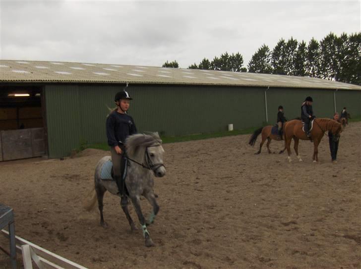 Anden særlig race : • Felix • - I galop til undervisning ude på SLRK . 2oo7 Fordi vi kunne det der med at galopere <3 billede 10