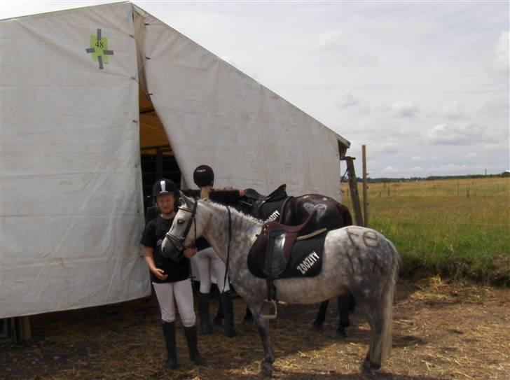 Anden særlig race : • Felix • - Til DM i ponygames o7 (: Fordi du er så nysskærig <3 billede 18