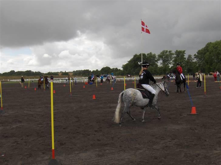 Anden særlig race : • Felix • - Bare fordi ,,, du er den du er <3 billede 20