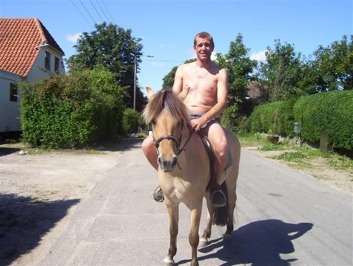 Anden særlig race Perle billede 4