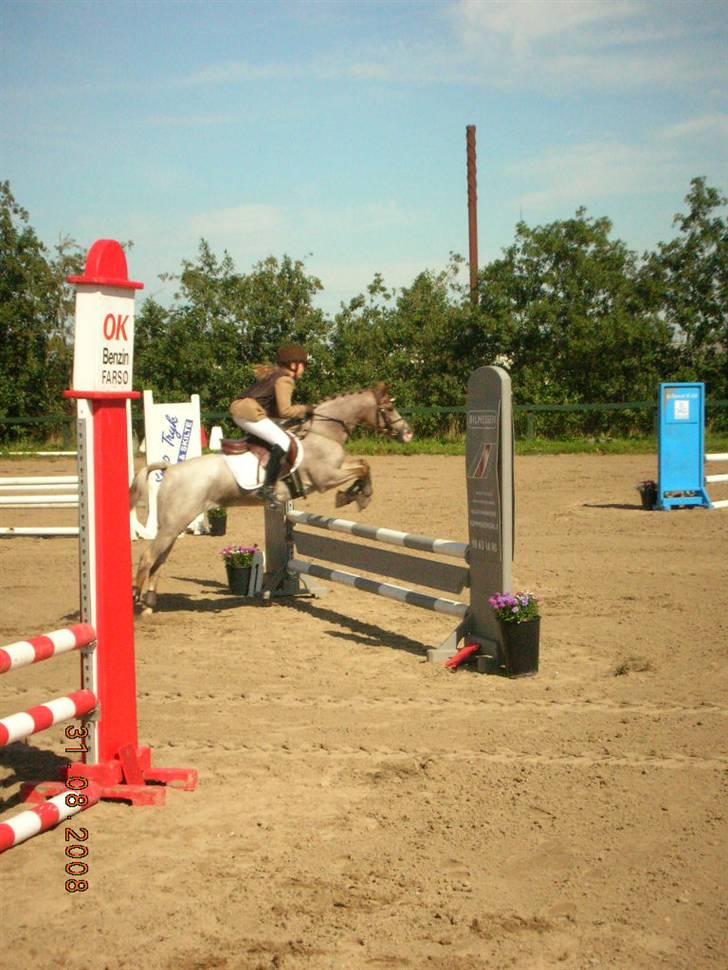 Welsh Pony (sec B) Amandas ElveraSolgt:/ - Jaja, vi rider lige om lidt. billede 4