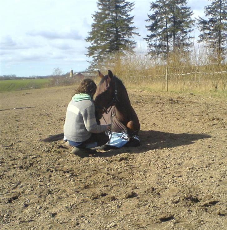 Hollandsk Varmblod Zorro - R.I.P 10/4 - 08 - Åååårh, han putter(: billede 10