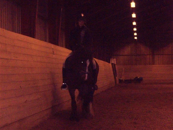 Irish Cob Loke  (Gammel part) - Undskyld kvaliteten  billede 5