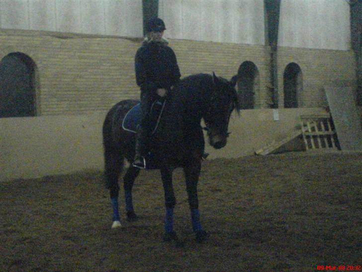 Oldenborg Jasmin(har haft ) - må ikk kopiers..  billede 16