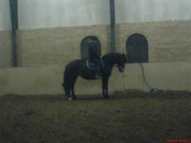 Oldenborg Jasmin(har haft ) - må ikk kopiers..  billede 17