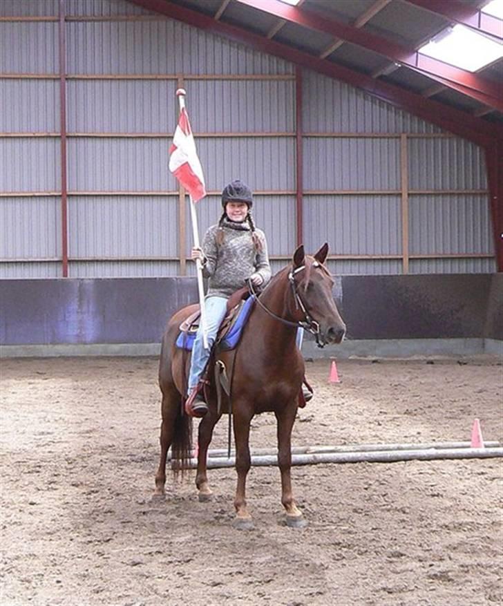 Anden særlig race Sara's Red Showboy - Vi træner trail herhjemme billede 2
