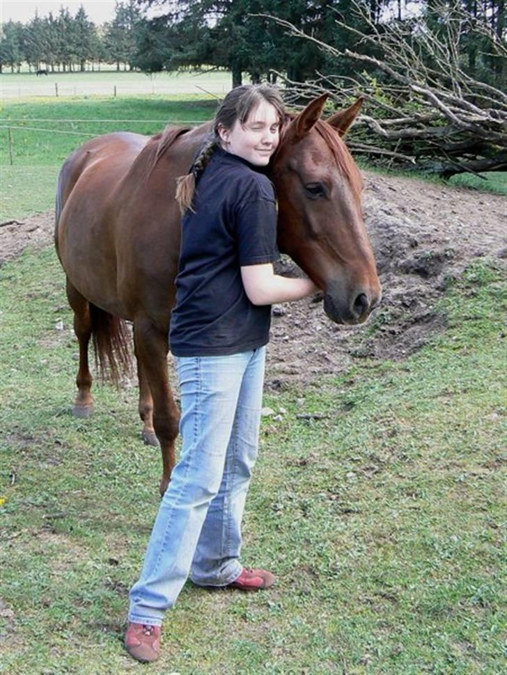 Anden særlig race Sara's Red Showboy - Sara og Showboy juli 2007 billede 5